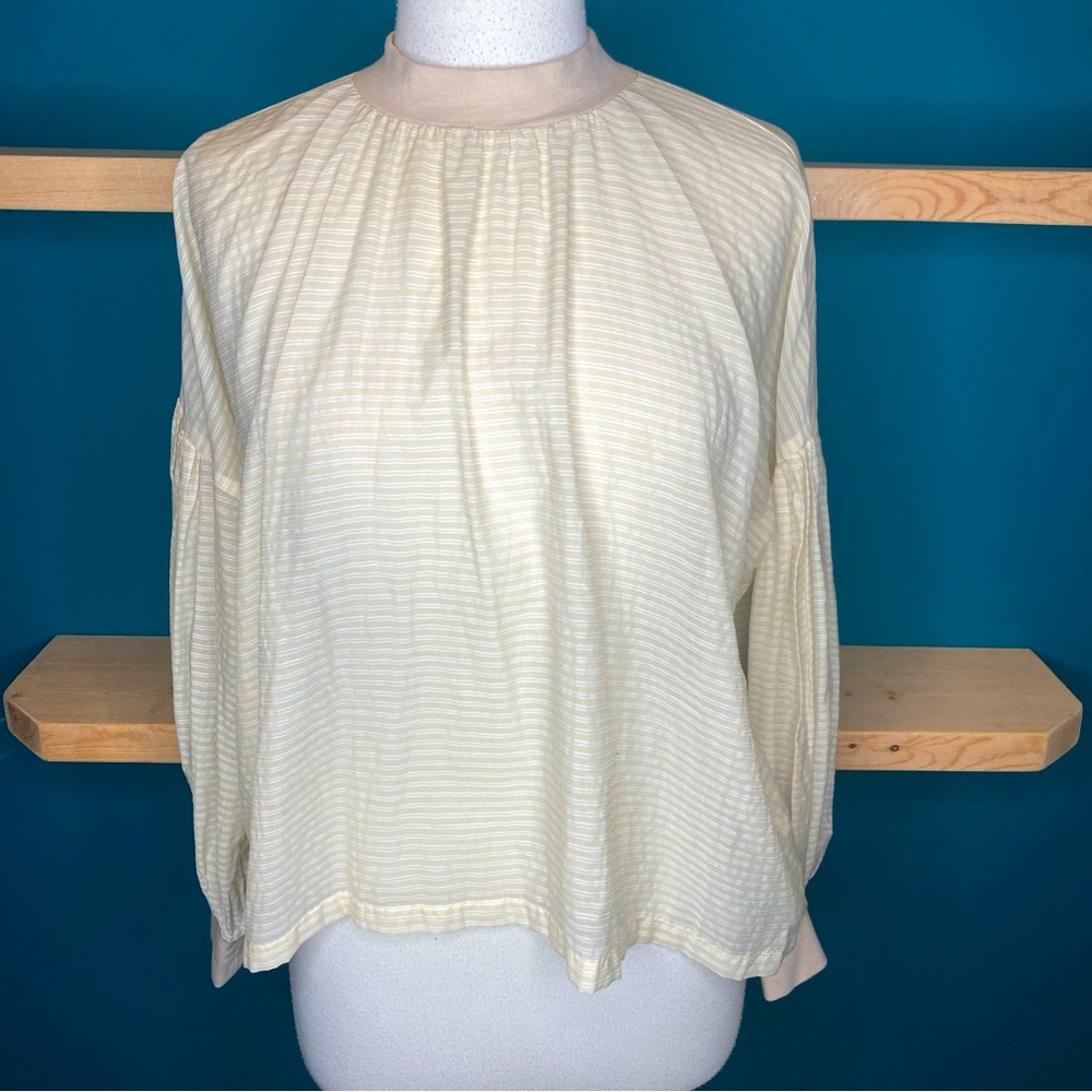 Organic dreamer sheer balloon sleeve blouse